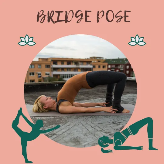 Yoga - Bridge pose