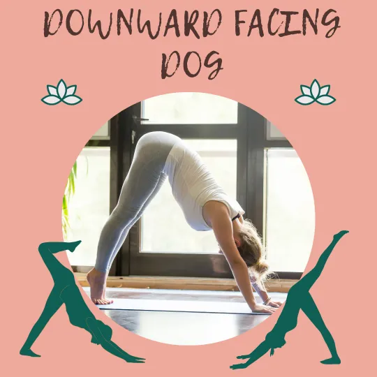 Yoga - Downward facing dog