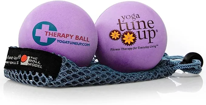 Yoga Therapy Balls - Therapy Balls in Tote by Tune Up Fitness