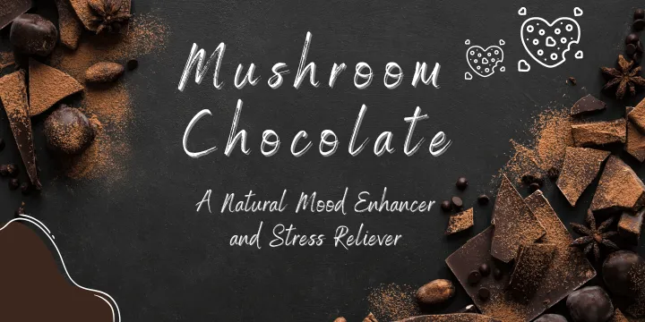 Mushroom Chocolate: A Natural Mood Enhancer and Stress Reliever