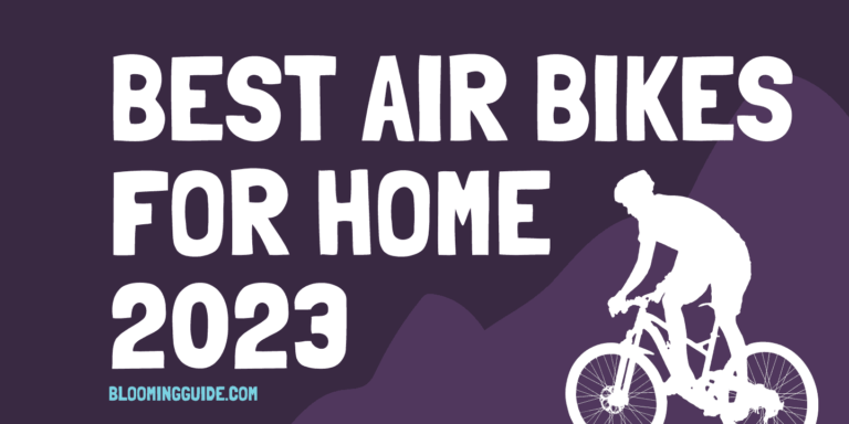 11 Best Air Bikes for A full body workout in 2024