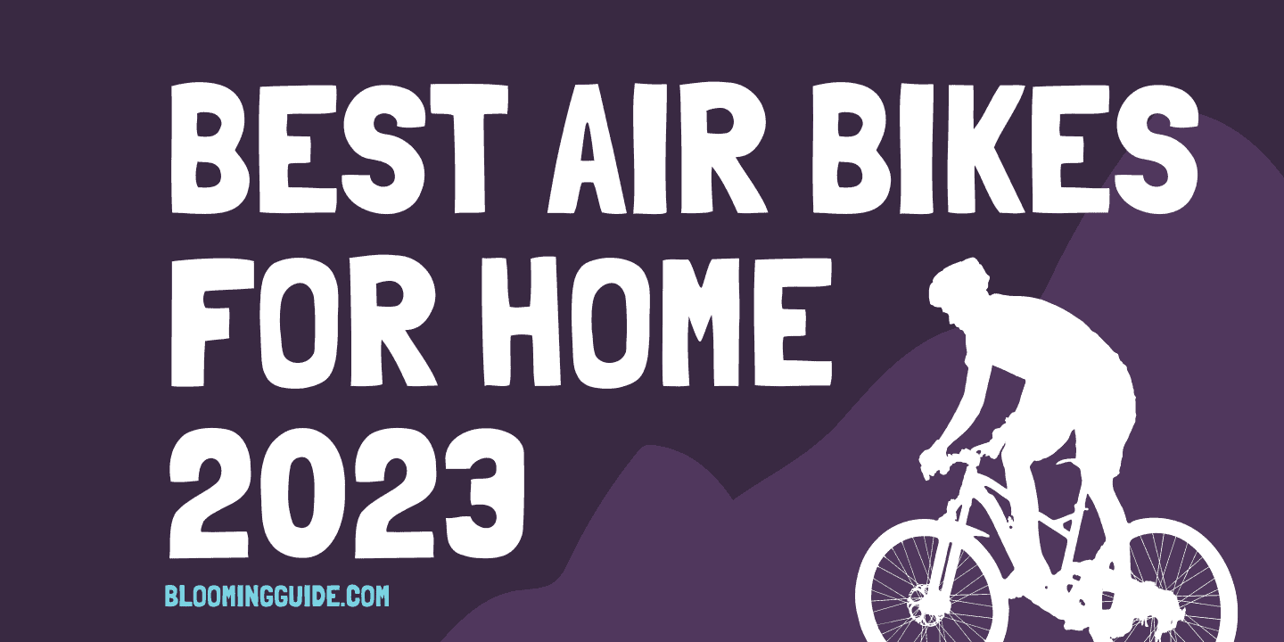 The 11 Best Air Bikes for Home Gyms in 2023